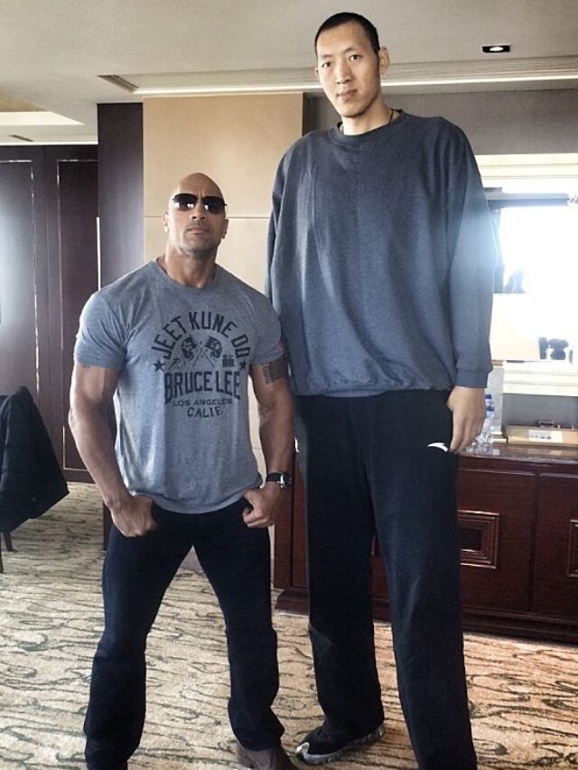 It's A Serious Optical Illusion To See Rock Next To The Tallest ...